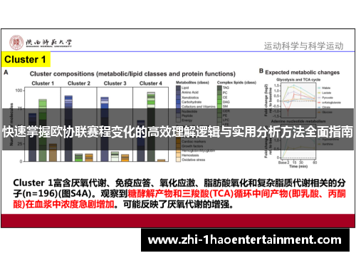 快速掌握欧协联赛程变化的高效理解逻辑与实用分析方法全面指南 快速掌握欧协联赛程变化的高效理解逻辑与实用分析方法全面指南